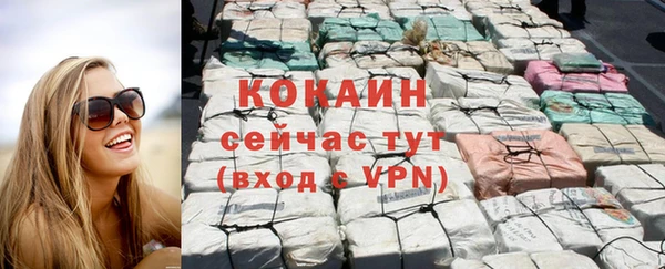 винт Краснослободск