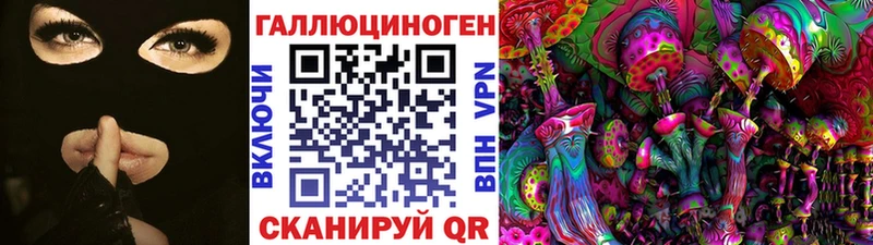 Купить где  Собинка  Галлюциногенные грибы Psilocybine cubensis 