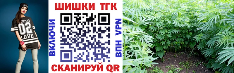 Купить закладки  Собинка  Шишки марихуана планчик 